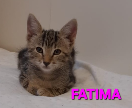 Jasmine & Fatima, sorelline adorabili - media 5