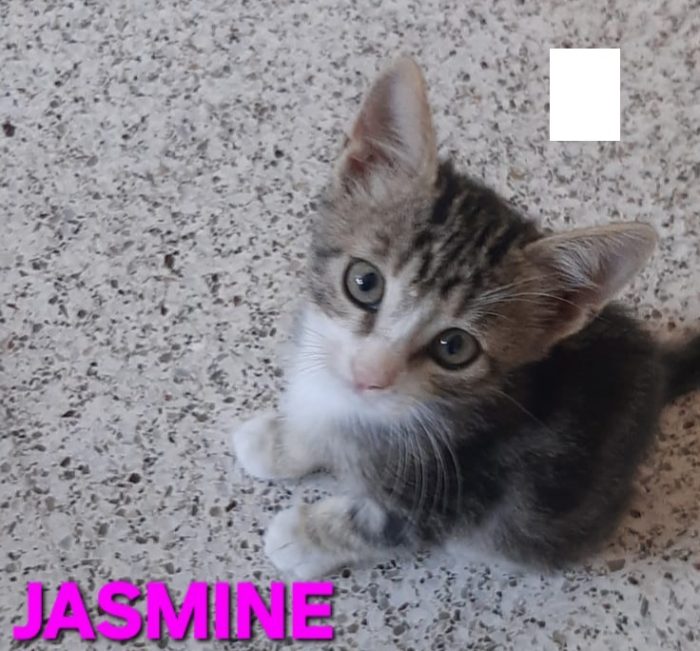 Jasmine & Fatima, sorelline adorabili - media 4