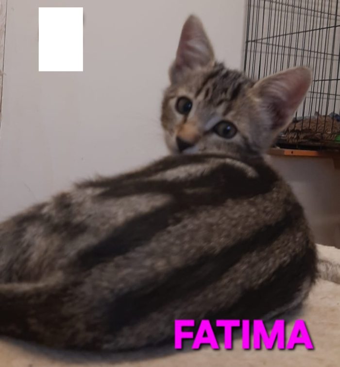 Jasmine & Fatima, sorelline adorabili - media 7