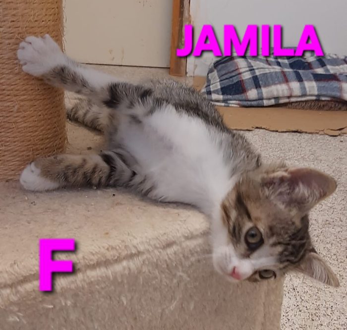 Said & Jamila, salvati da una situazione precaria