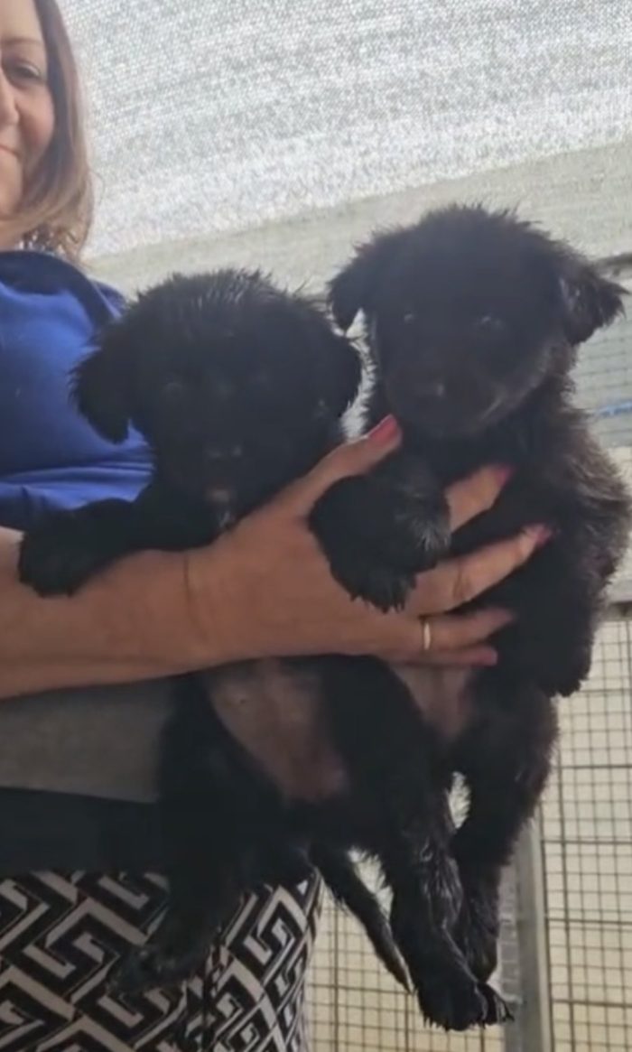 Carrie e Penny splendide sorelline cercano casa