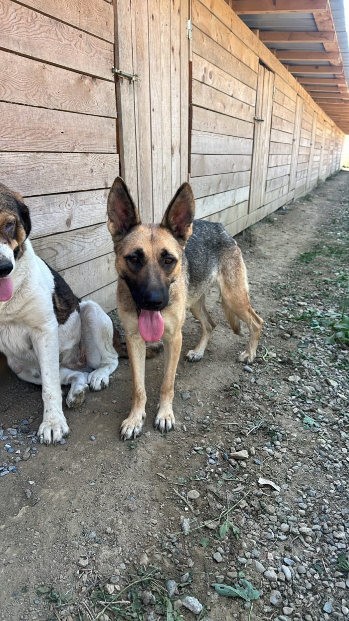 Scartata e buttata via