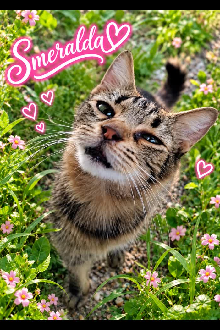 Smeralda, miss dolcezza