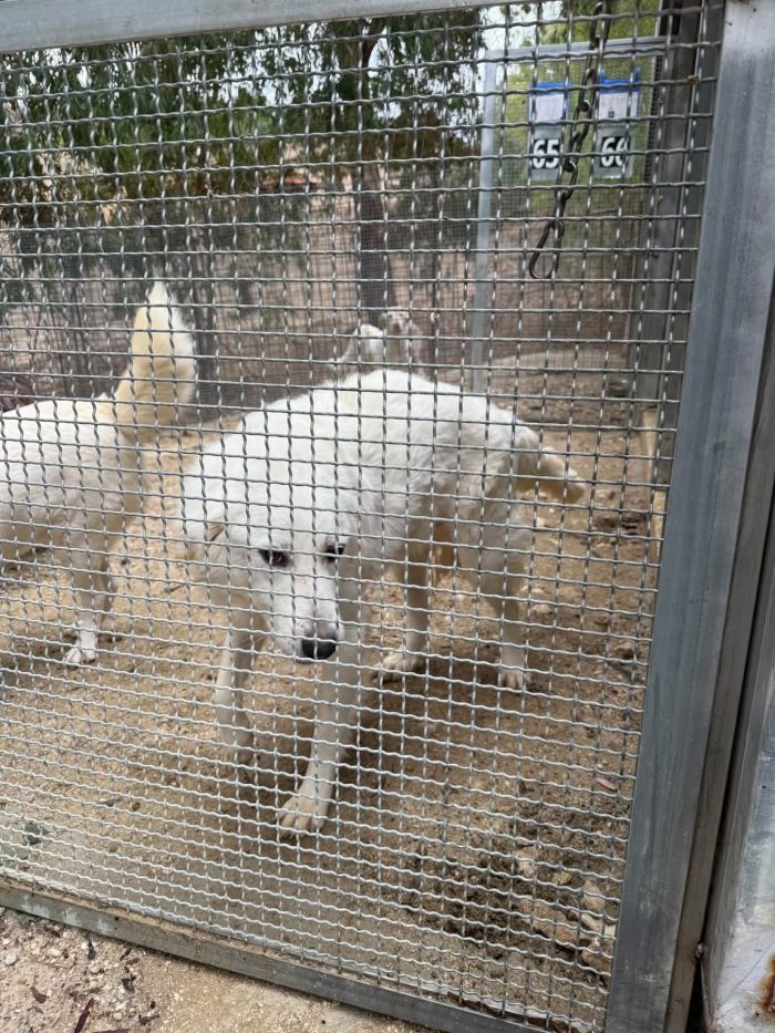 Yuri, dimenticato anche dalle associazioni