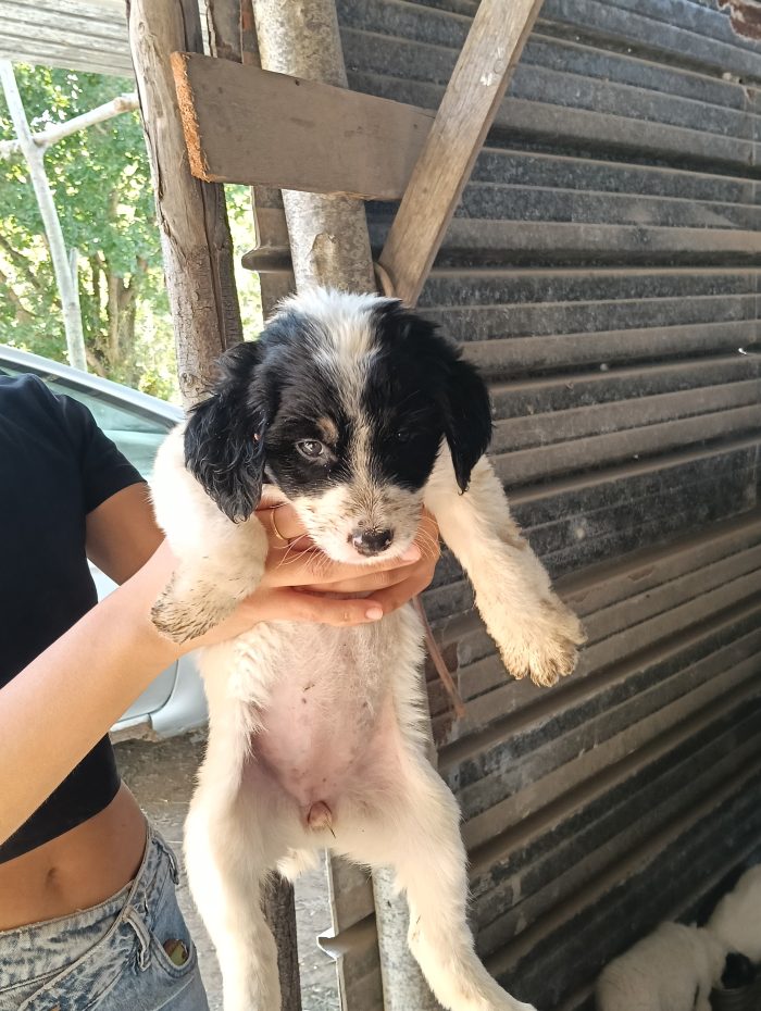 Xena, taglia grande!