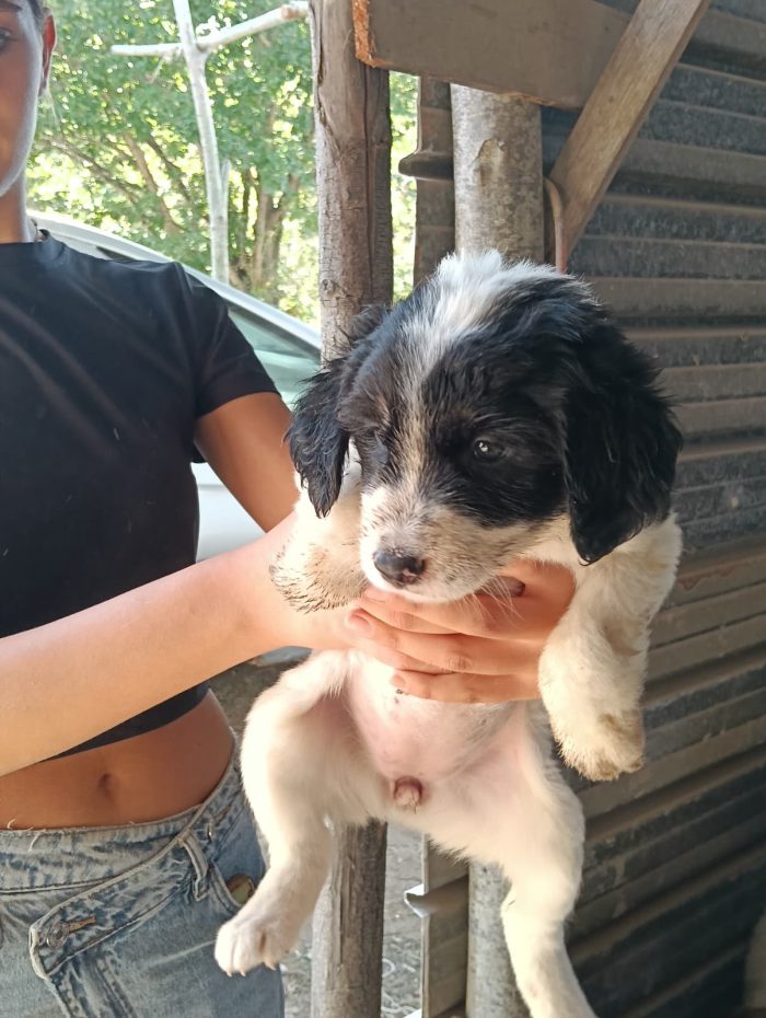 Xena, taglia grande!