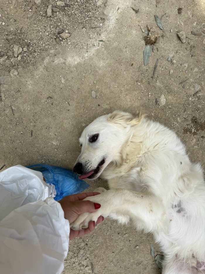 Yuri, dimenticato anche dalle associazioni