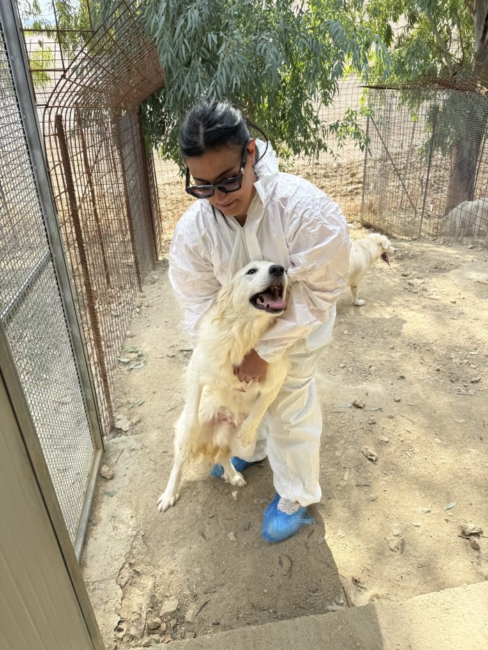Yuri, dimenticato anche dalle associazioni