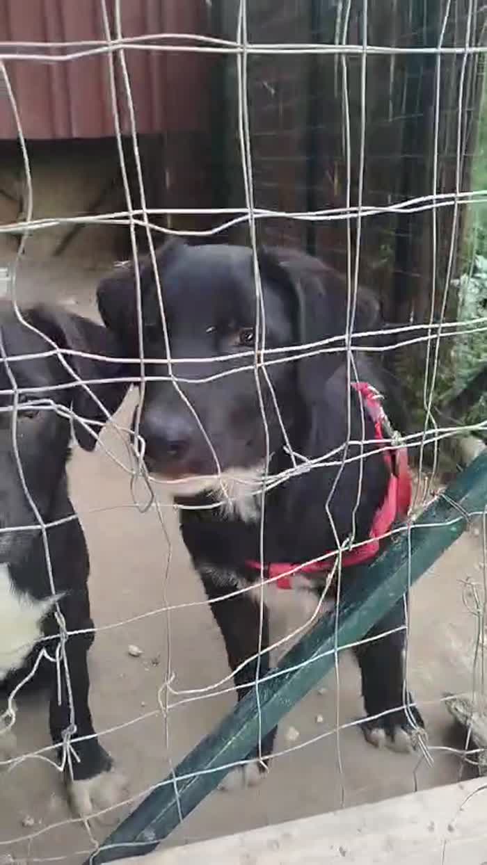 Invisibili ma pieni d'amore