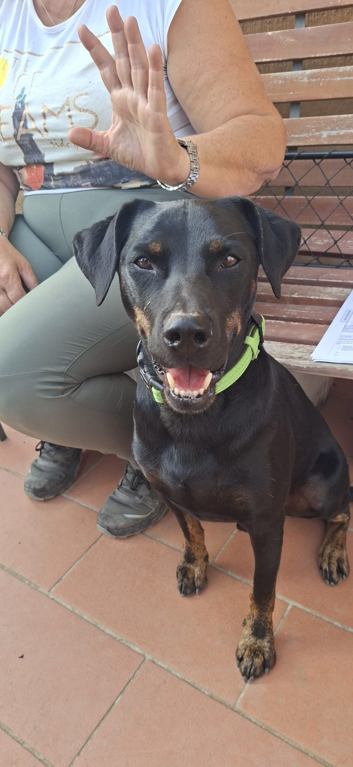 Oliver... rinuncia di proprietà