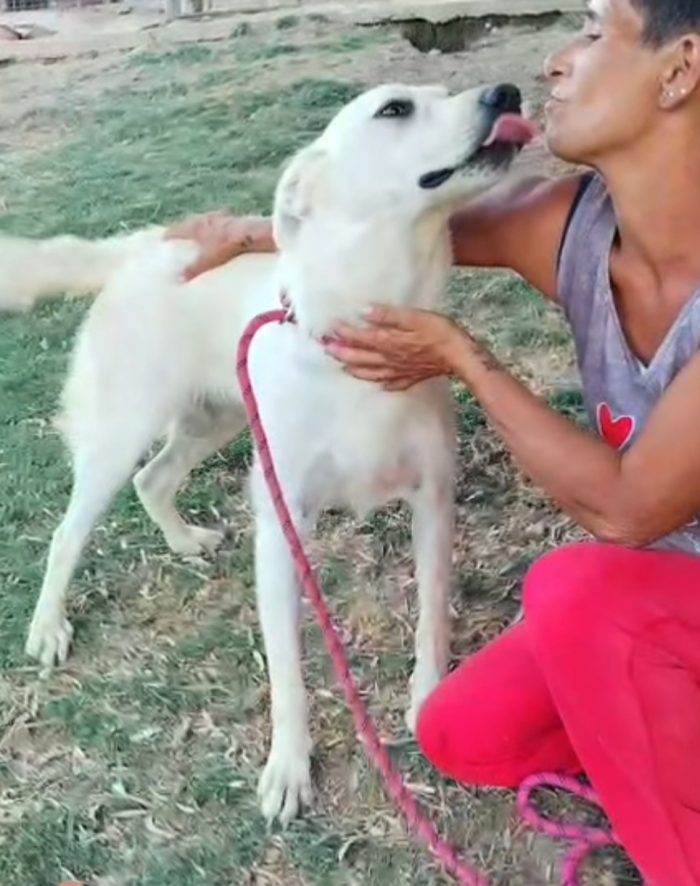 Lola cerca una famiglia amorevole