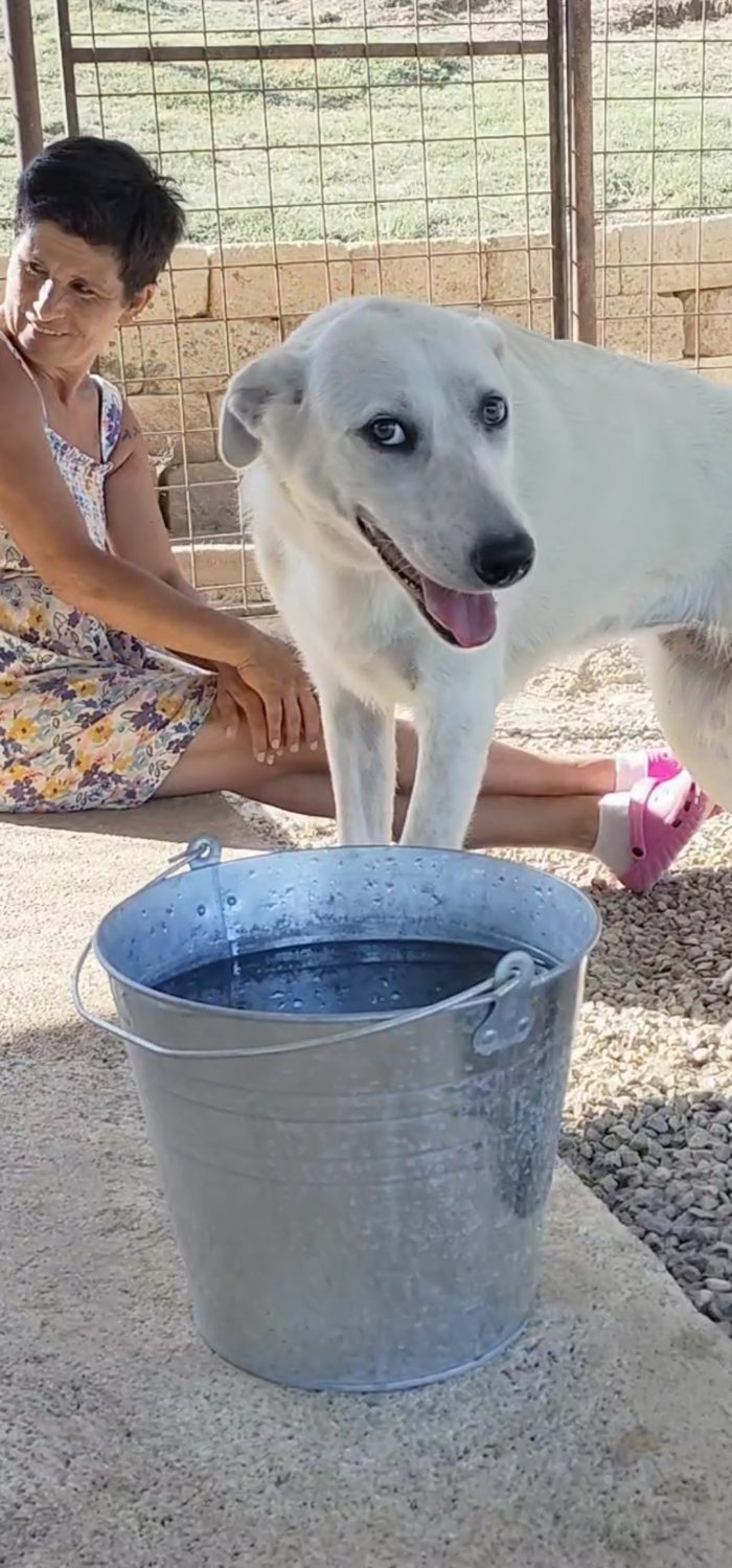 Lola cerca una famiglia amorevole - media 5