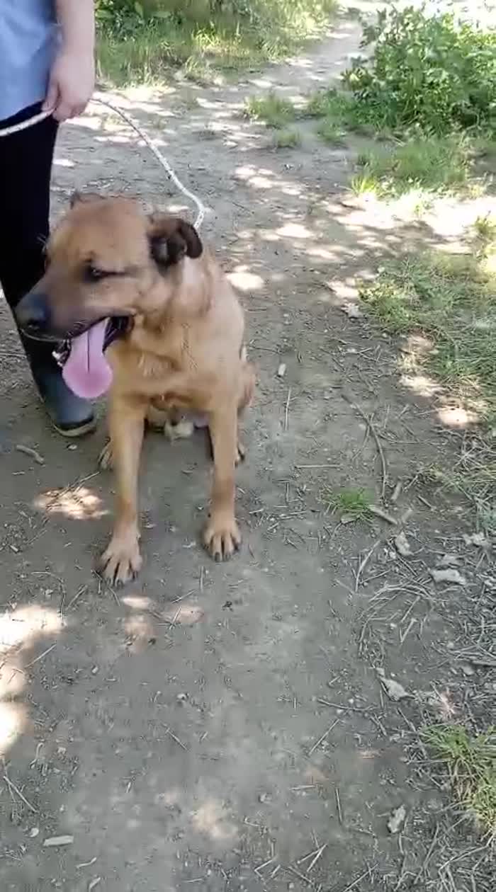 💙TOTO' CERCA IL SUO RISCATTO PER SEMPRE - media 9