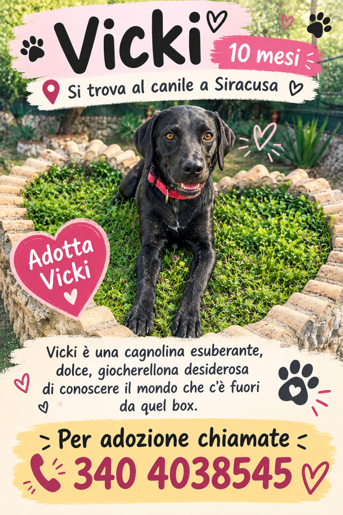 Vicky cerca una famiglia per sempre