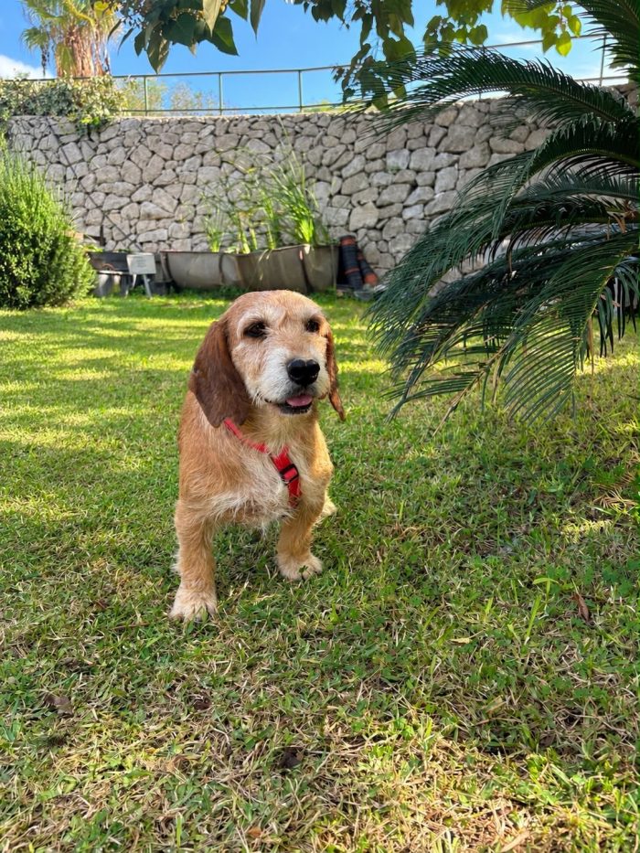 Diana un mix di dolcezza e energia