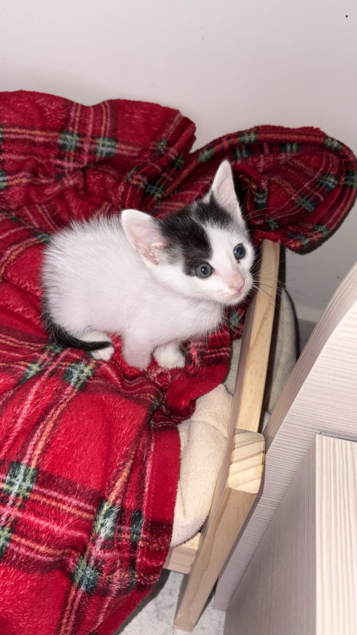 MINÙ CERCA CASA