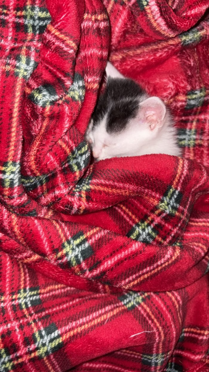 MINÙ CERCA CASA