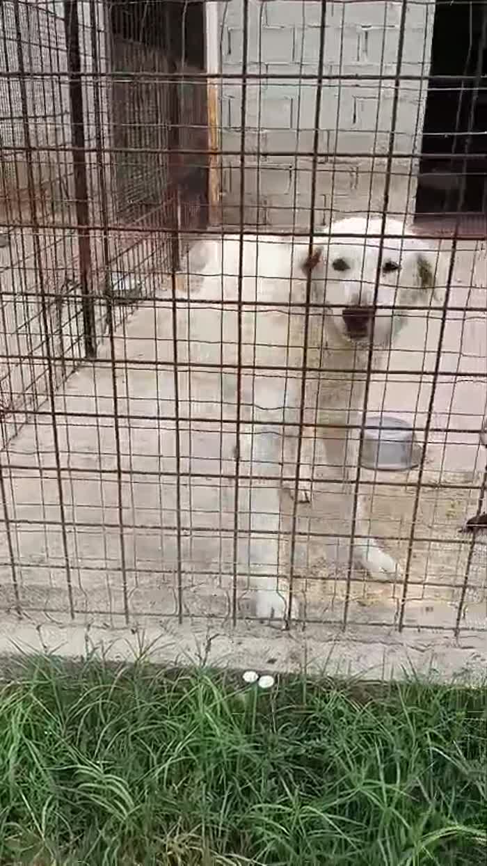 NESSUNO SI È MAI ACCORTO DI LUI 💔 - media 5
