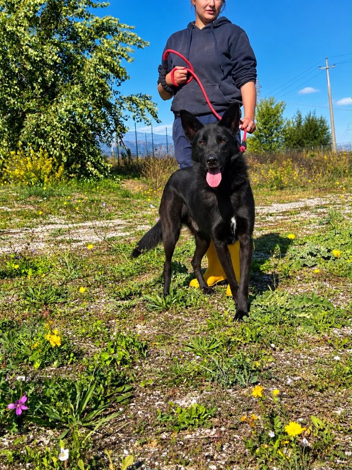 Axel cerca una famiglia competere