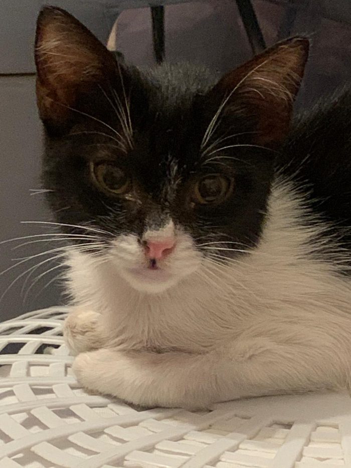 3 mesi, piccola e dolce MEMOLE