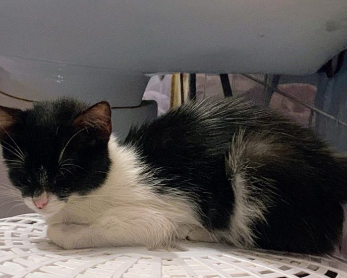 3 mesi, piccola e dolce MEMOLE
