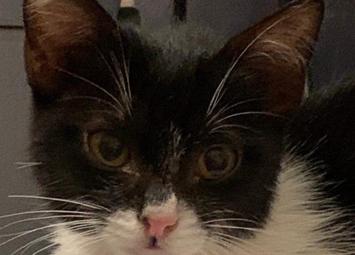 3 mesi, piccola e dolce MEMOLE