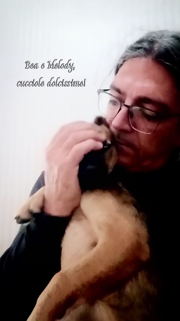 Melody e Bea, cucciole dolcissime in cerca di casa - media 9