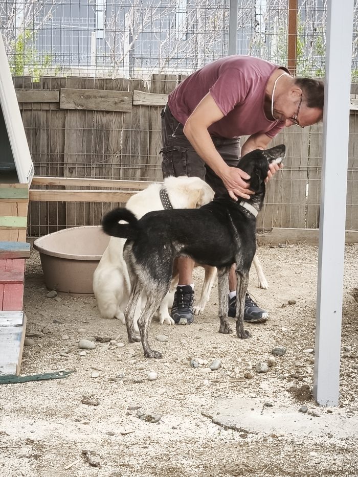 Shoku needs a home - media 7