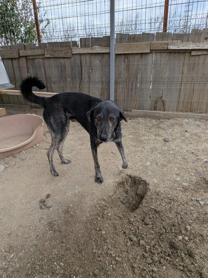 Shoku needs a home - media 8