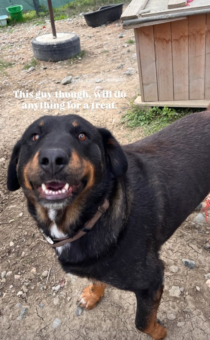 Luli wants a home