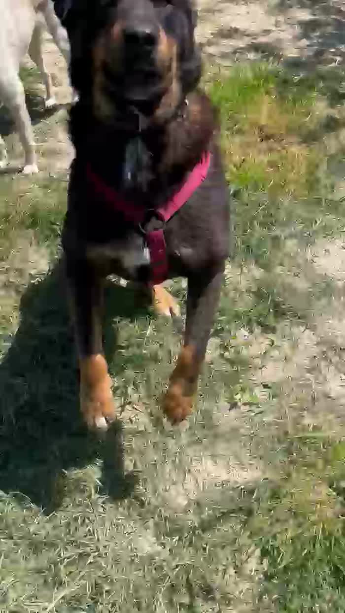 Luli wants a home - media 9