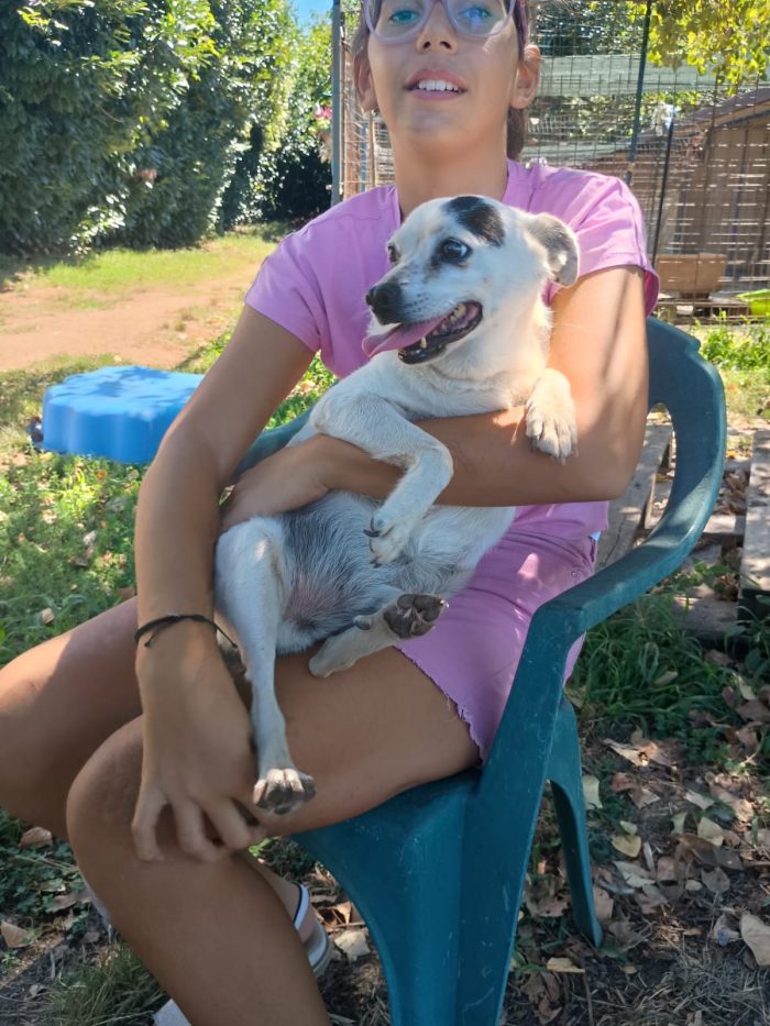 FIOCCO - cagnolino taglia piccola di 9 anni