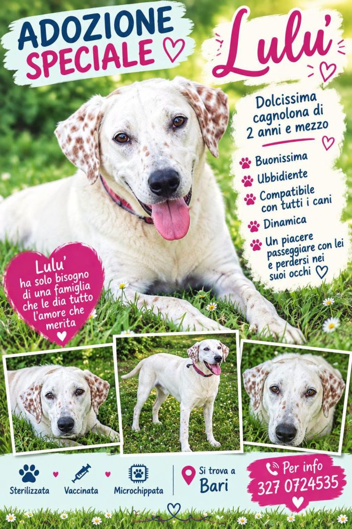 Lulù cagnolina meravigliosa