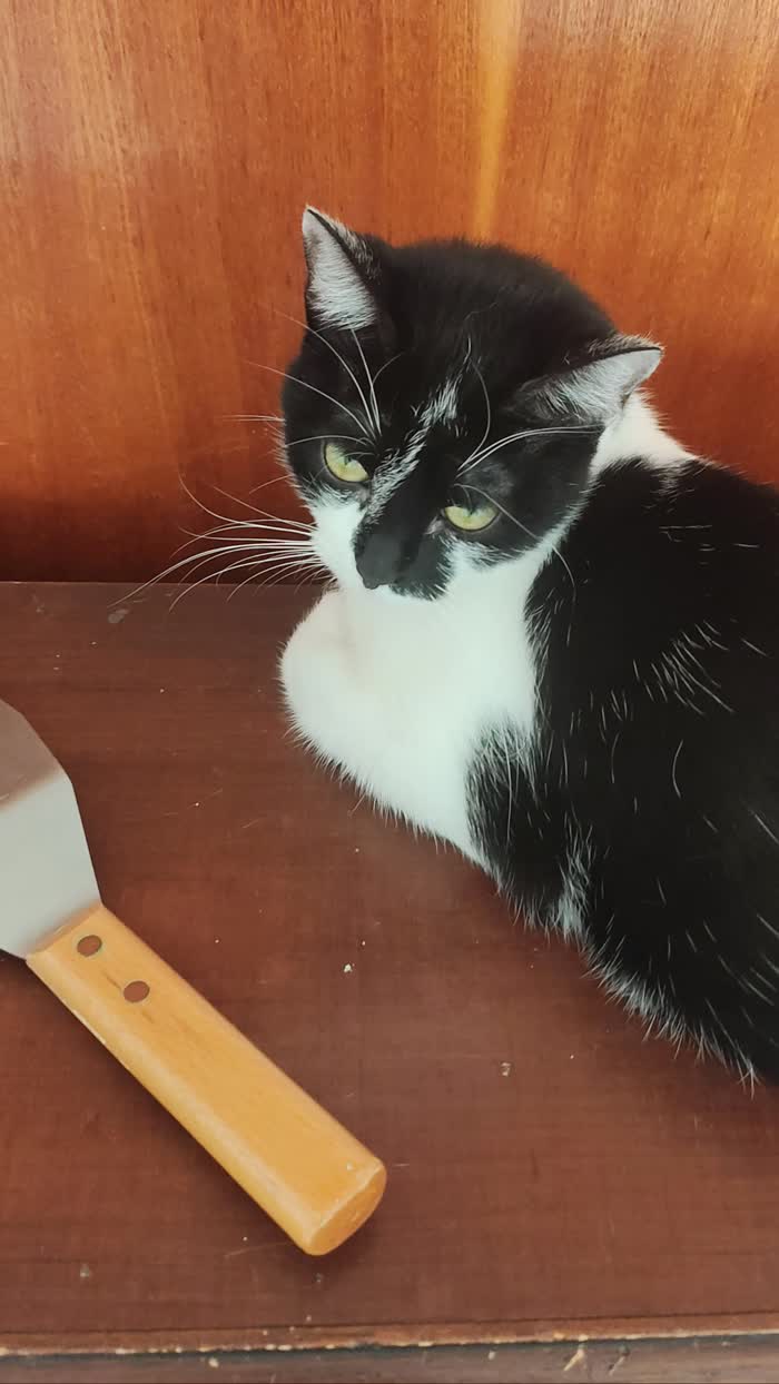 Lara la mangiona 🤣
