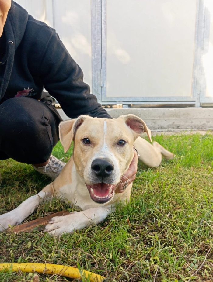 🧡 FURY, 6 MESI E UNA SIMPATIA TRAVOLGENTE!