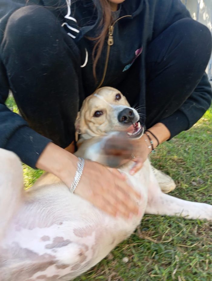 🧡 FURY, 6 MESI E UNA SIMPATIA TRAVOLGENTE!