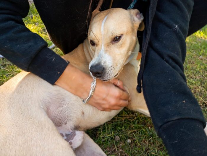 🧡 FURY, 6 MESI E UNA SIMPATIA TRAVOLGENTE!