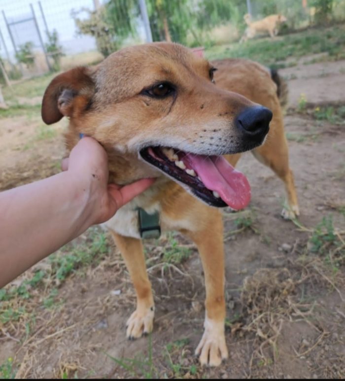 Bruno 5/6anni fu rinchiuso in 1bidone x farlo morire...NAPOLI