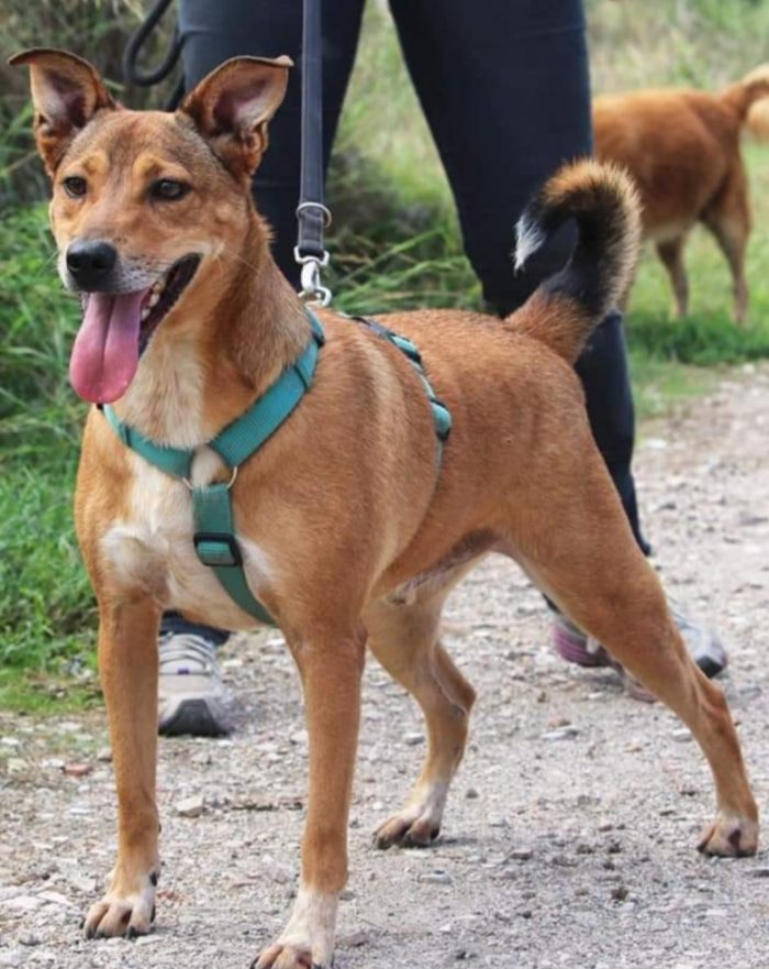 Bruno 5/6anni fu rinchiuso in 1bidone x farlo morire...NAPOLI