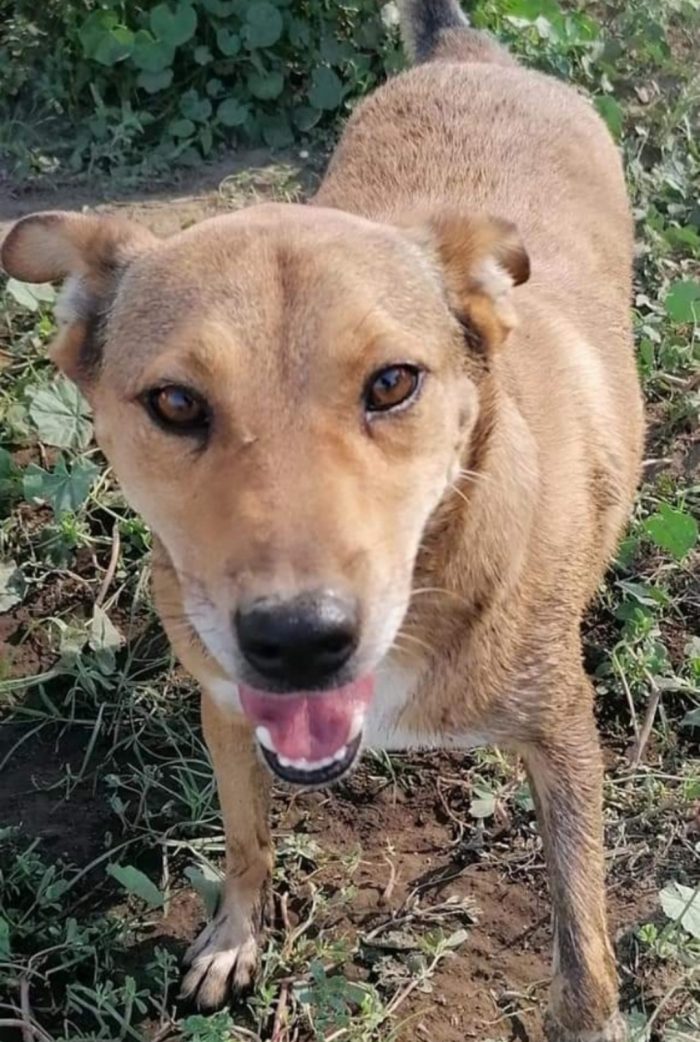 Bruno 5/6anni fu rinchiuso in 1bidone x farlo morire...NAPOLI