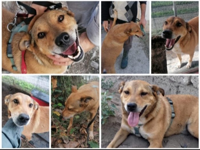 Bruno 5/6anni fu rinchiuso in 1bidone x farlo morire...NAPOLI - media 7