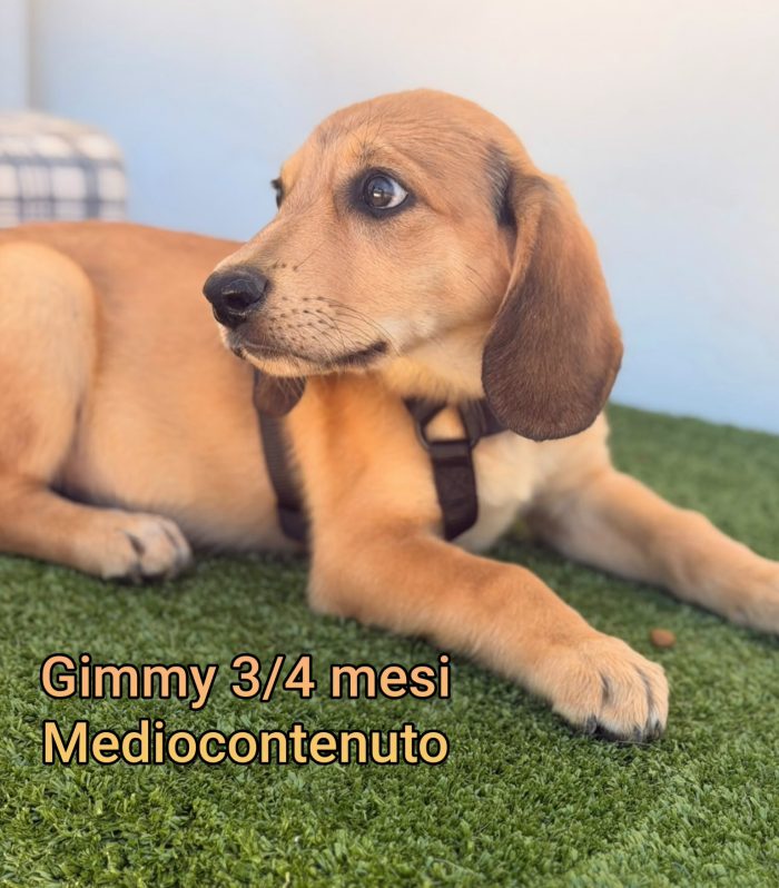 2 mesi: urgenti adozioni - media 7
