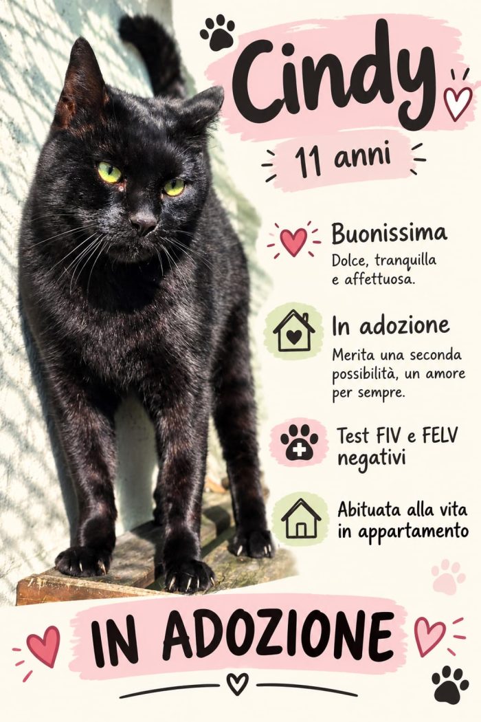 CINDY CERCA FAMIGLIA