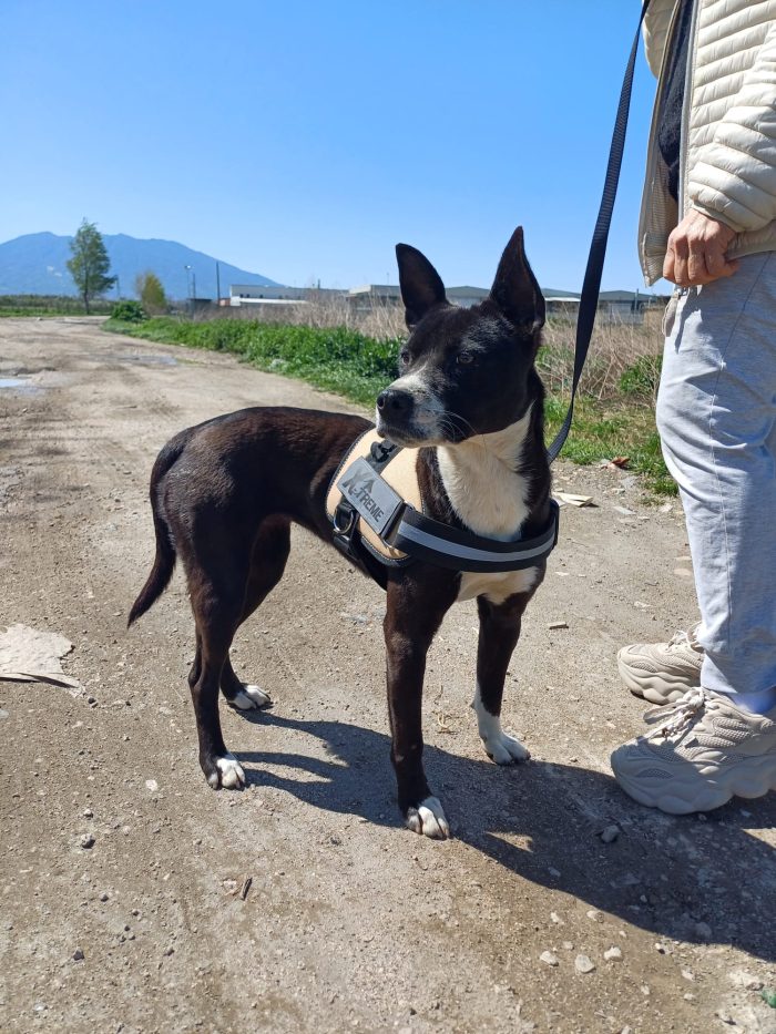 Asia! (2 anni e mezzo)