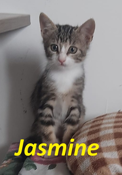 Jasmine & Fatima, sorelline adorabili - media 4