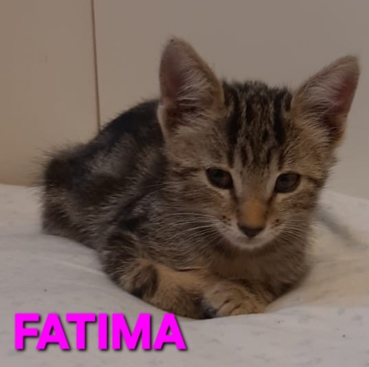 Jasmine & Fatima, sorelline adorabili