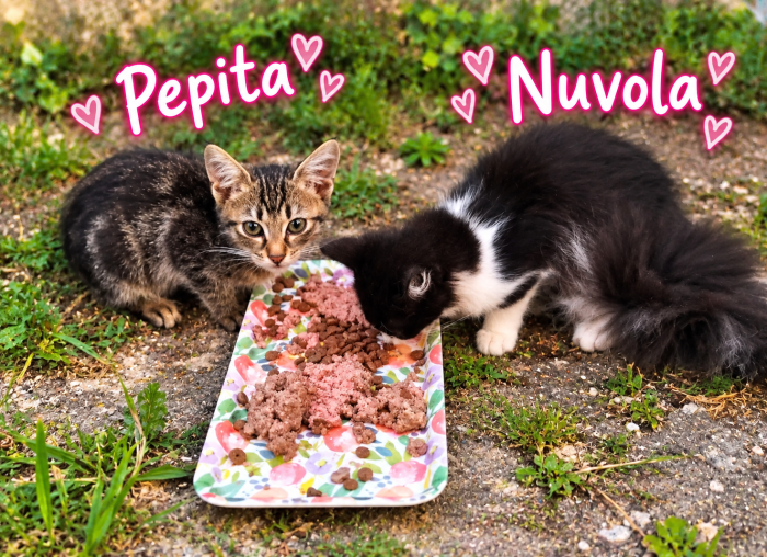 Due scriccioline adorabili