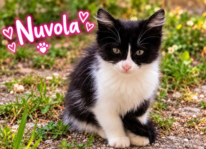 Due scriccioline adorabili