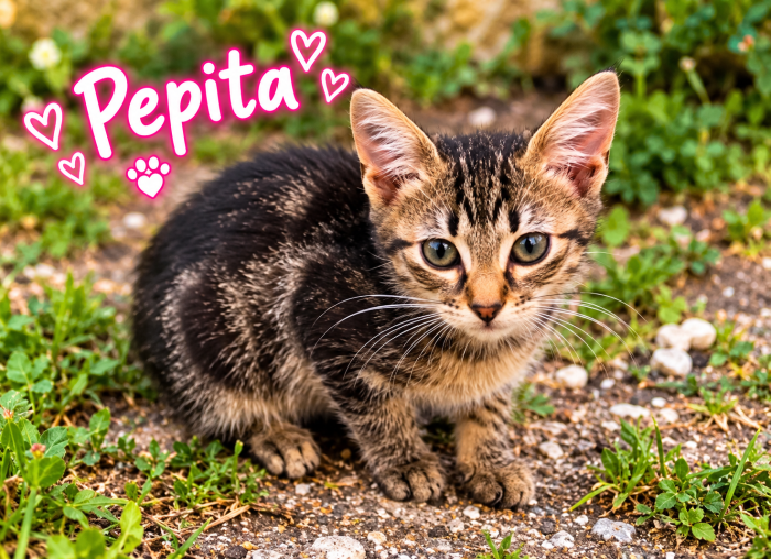 Due scriccioline adorabili