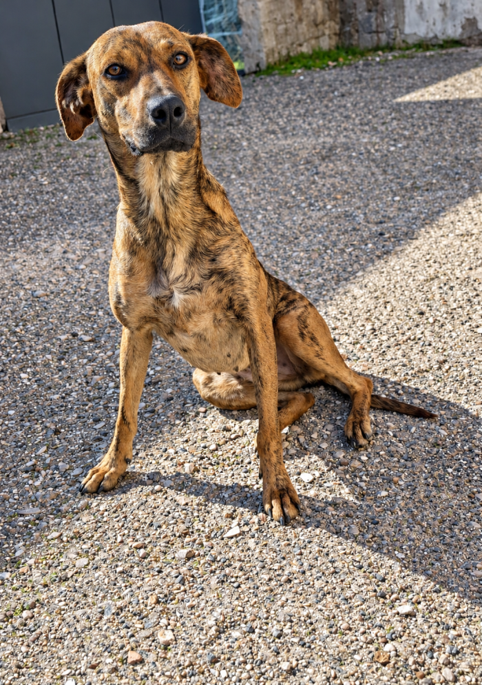 Chanel! (18kg-1 anno)